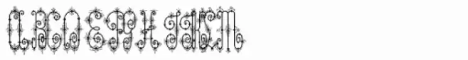 Chyrllene Ornamental
