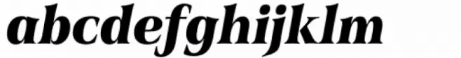 Civane Serif Condensed Black Italic