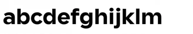 Cogenta Bold