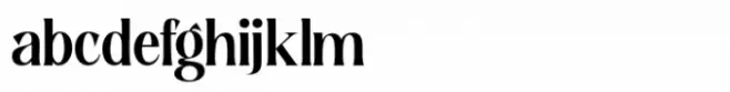 Contingent Font Duo Regular