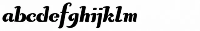 Curly Lady D Heavy Italic
