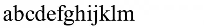 David Std Bold Italic