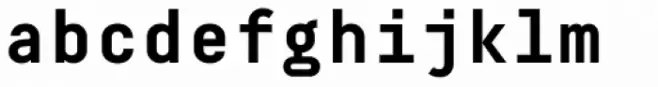 Decima Mono Cyr Bold
