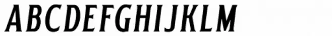 Delighter Script Oblique Tracked