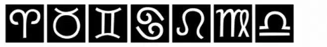 DF Holistics
