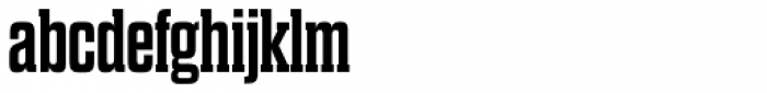 Dharma Slab Expanded Bold