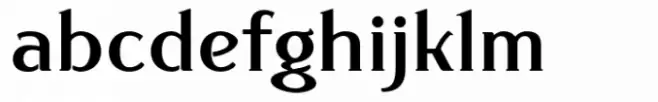 Donchenko Serif Bold