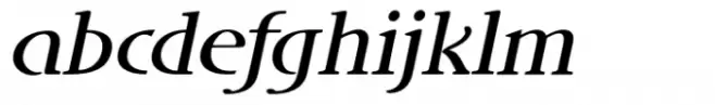 DT Skiart Lexiconic Medium Italic