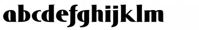 DT Skiart Serif Leaf Black