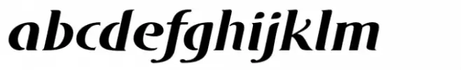 DT Skiart Serif Leaf Bold Italic
