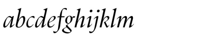 Dupincel Large Light Italic