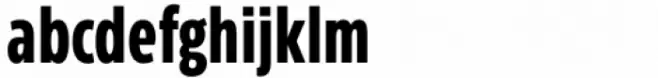 Eastman Condensed Compressed Bold