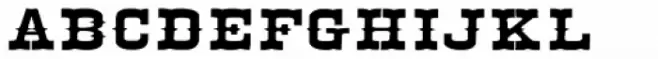 Egiptian Ornamented N3