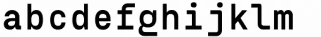 Eingrantch Mono Bold