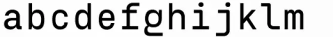 Eingrantch Mono Semi Bold