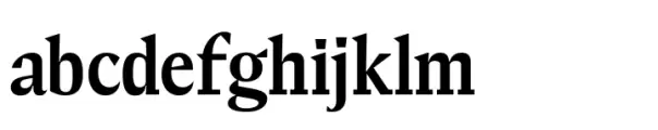 Elvira Serif Medium