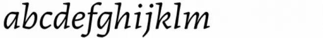 Epica Pro Italic