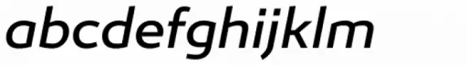 Ergonomique Medium Italic