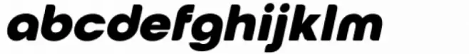 European Soft Pro Black Italic