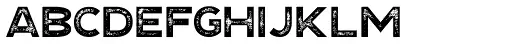 Explorer Print Sans Bold