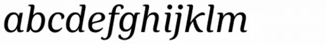 FF Marselis Serif Italic