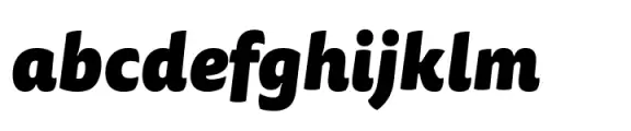 FF Tisa Sans Paneuropean Black Italic