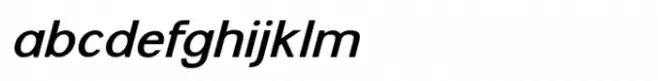 Flight Feather Medium Italic