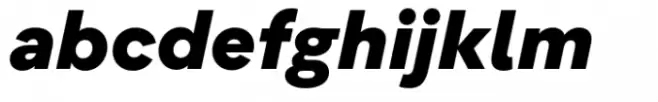 Flink Neue Text Black Italic
