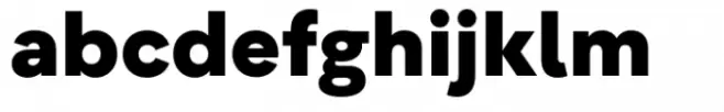 Flink Neue Text Black