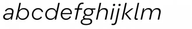 Flink Neue Text Book Italic