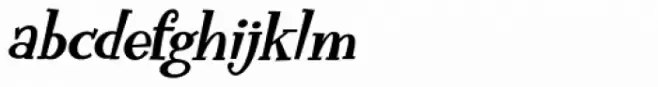 Funky Flamingo Bold Italic