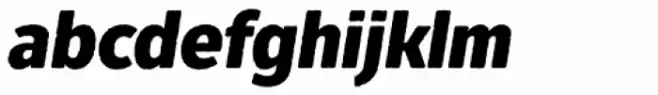 Fuse V.2 Printed Display Black Italic