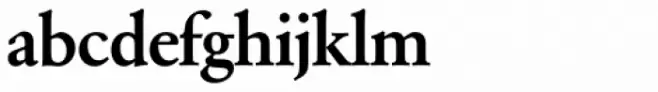 Garamond Nr 2 SH Medium