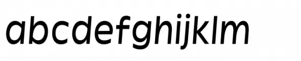 Garnison Book Italic Mono