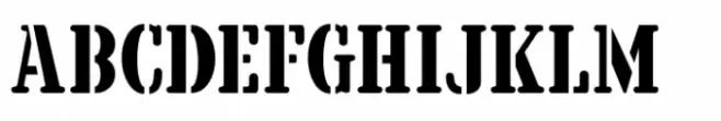 Government Stencil JNL Regular