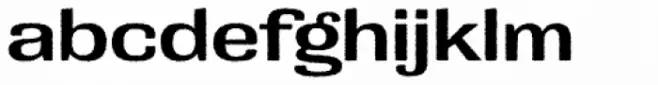 Grange Rough DemiBold Extended