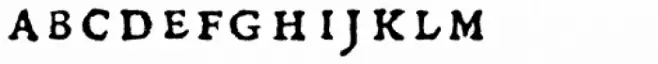 Gryphius MVB SC