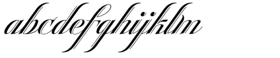 Heraldica Script Regular