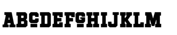 Hockeynight Serif Black