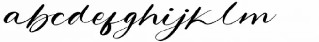 Holista Regular
