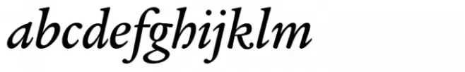 ITC Legacy Serif Medium Italic