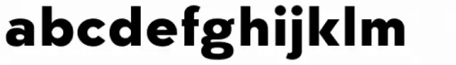 Kaleko 205 Text Heavy