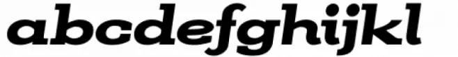 Kate Slab Pro Ultra Expanded 900 Black Italic