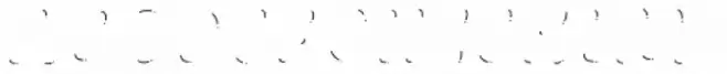 La Pica Layer Line