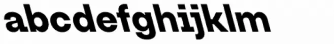 Lazare Grotesk Bold Back