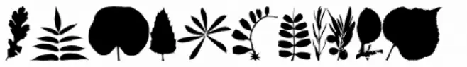 Leaves Straw Up