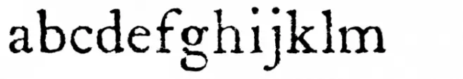 Letterpress Text Reg