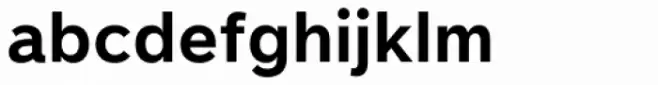 Littera Text Bold