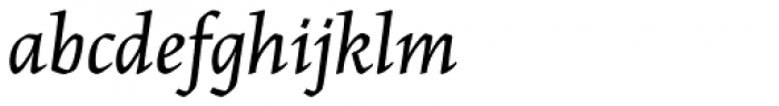 Maiola Cyrillic Book Italic
