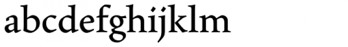 Maiola Cyrillic Book